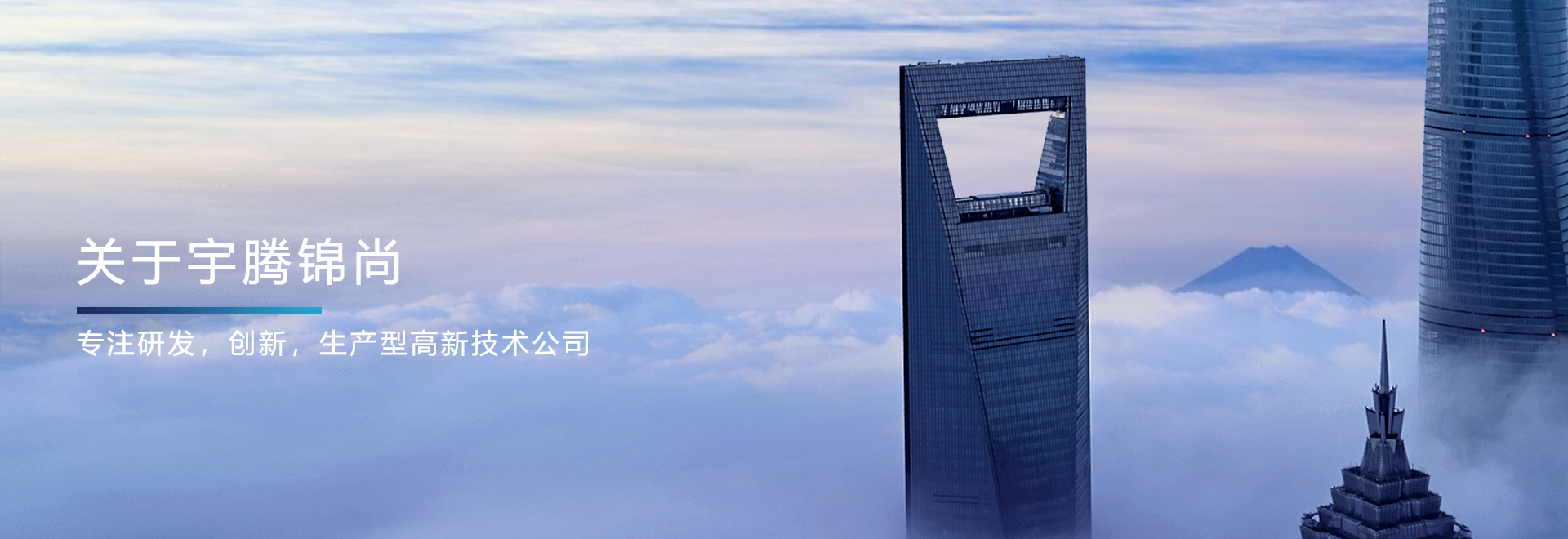 公司簡介